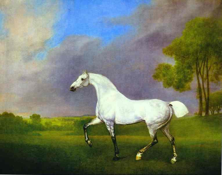 George Stubbs A Grey Horse